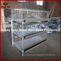 Automatic Automatic H Type Pullet/ Layer/ Broiler Chicken Cage